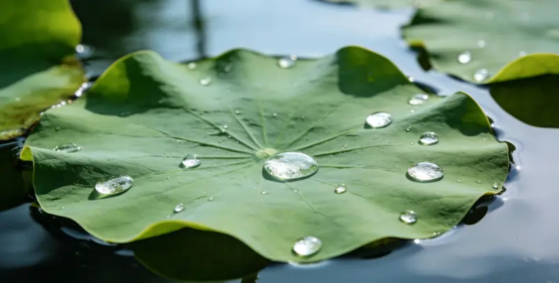 武威乳腺癌21基因mRNA表达分析图片1