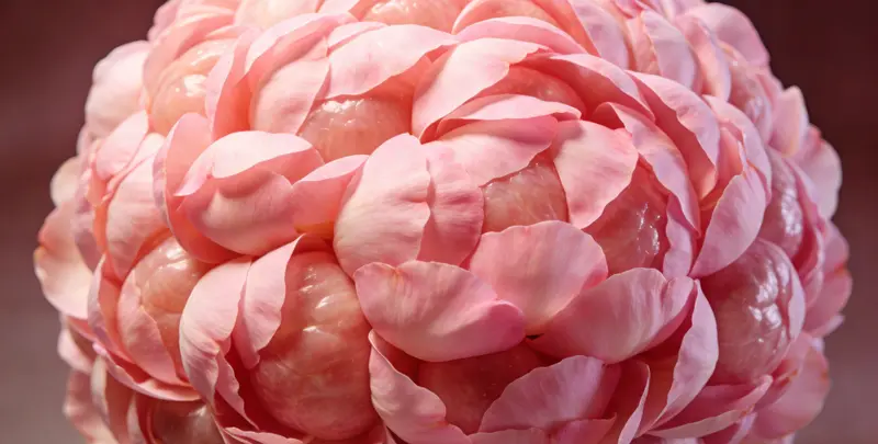 武威BRCA1/2乳腺癌卵巢癌基因检测图片1